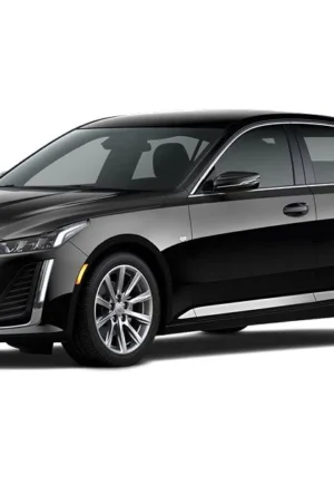 generation 6810ba8ce4c96 ct5