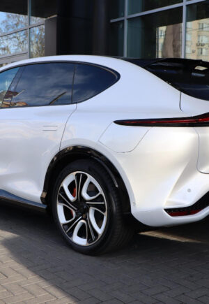 Tesla diagnostic UAE