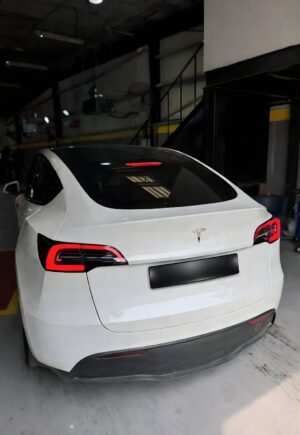 Tesla inspection UAE